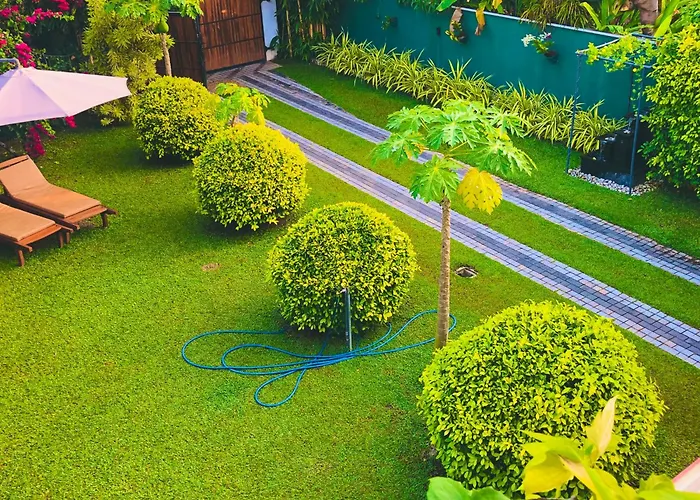 Villa 252 Kosgoda - Beach Side Stay & Tours